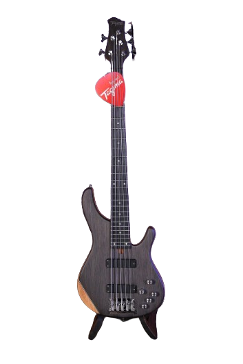 Tagima MILL 5 TOP-NTS-DF Electric Bass Guitar (Natural)