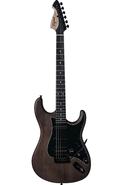 Tagima JA 3-NTS-DF/BK Guitare électrique (Satin foncé naturel)