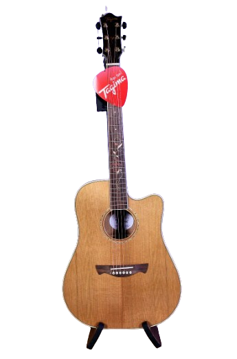 Guitare acoustique Tagima FS200 EQ-NT (naturel)