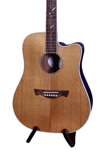Guitare acoustique Tagima FS200 EQ-NT (naturel)