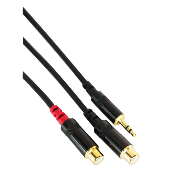Digiflex HIN-1K-2RF-1 Câble adaptateur Mini TRS vers 2x RCA femelle - 1 pied