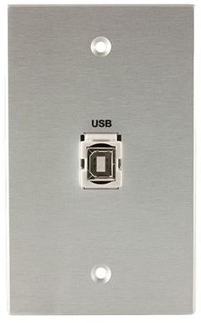 Covid W1127F-CA Keystone USB-2-BA Plaque murale (anodisé transparent)