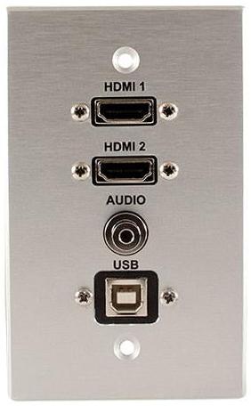 Covid W1403P-CA 2 HDMI Pigtail, USB BA and Audio Input Wall Plate (Clear Anodized)