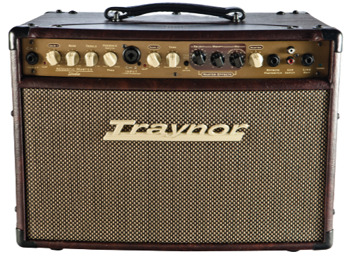 Traynor AMSTUDIO 2-Channel Compact Stereo 65W Acoustic Guitar Amp