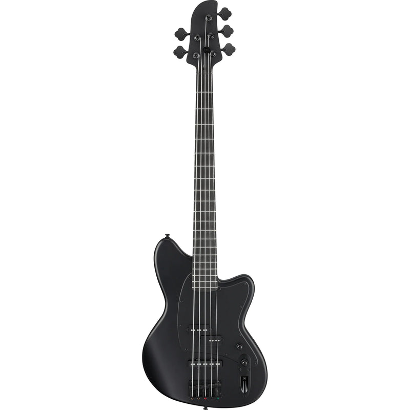 Ibanez TMB425BBKF 5 String Electric Bass Guitars (Black Flat)