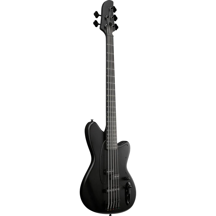 Ibanez TMB425BBKF 5 String Electric Bass Guitars (Black Flat)