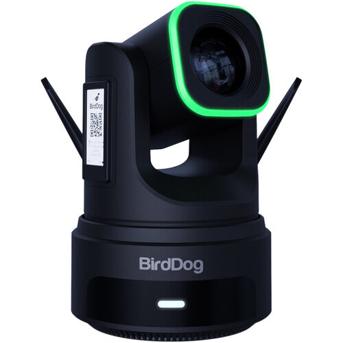 BirdDog BDX4UB 4K PTZ Camera with AI Tracking (Black)