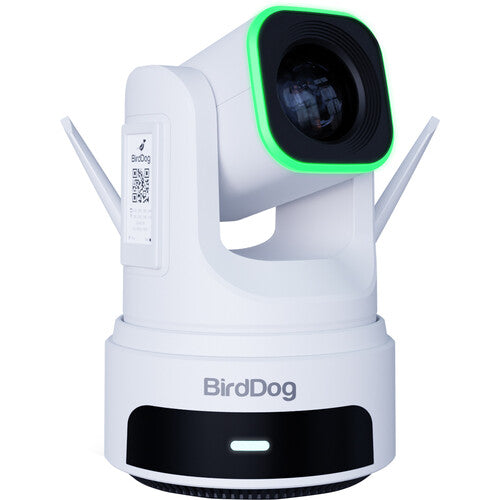 BirdDog BDX4UW 4K PTZ Camera with AI Tracking (White)