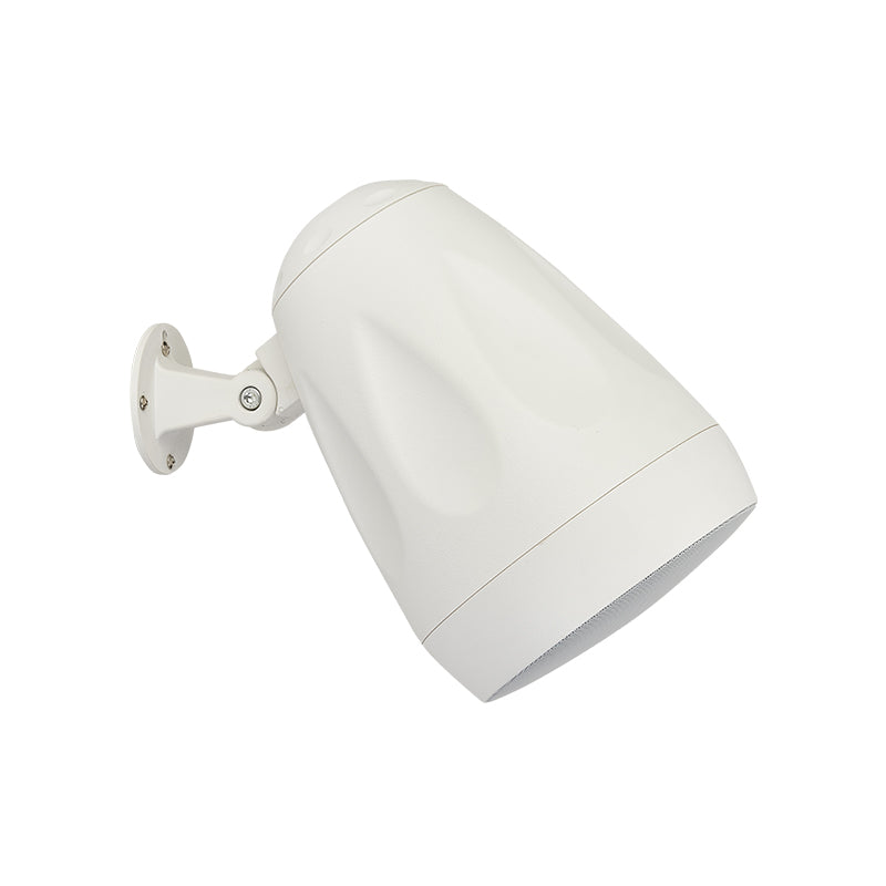 Cloud Electronics CVS-P62TW Pendant Speaker (White) - 6.5"