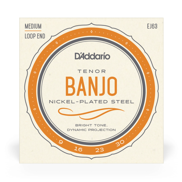 D'Addario ej63 Tenor nickel banjo