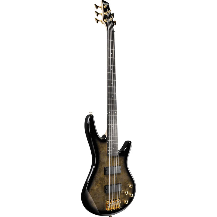 Ibanez GSR205PCTPB 5 String Electric Bass Guitar (Transparent Pale Black Burst)