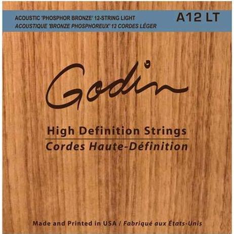 Godin Guitar A12 Acoustic Guitar HD Strings