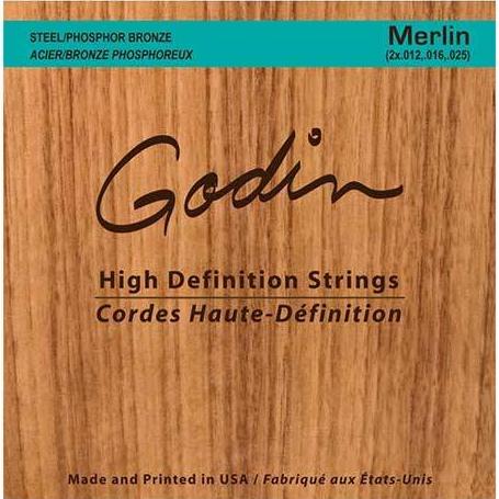 GODIN GUITARS M4 CORRODES DE GUITARE ACUSTIQUES HIGHINGES