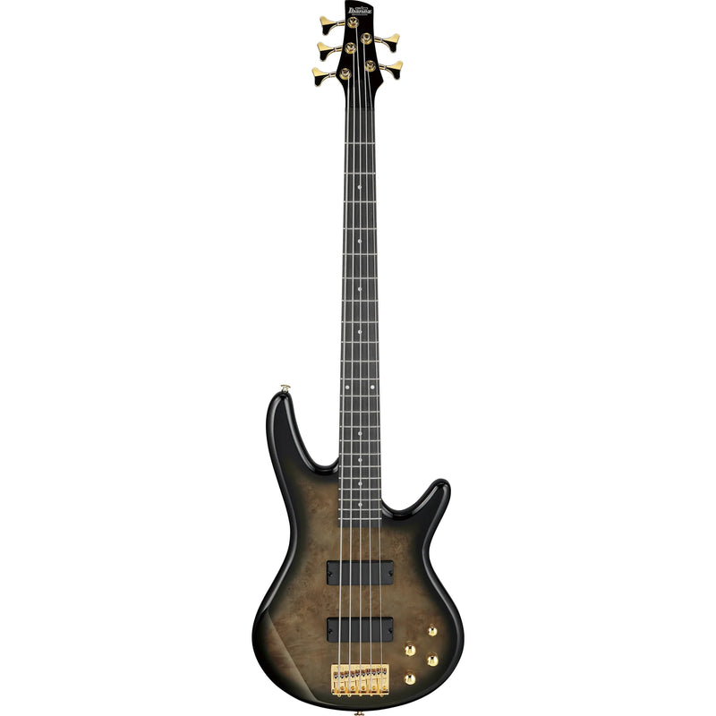 Ibanez GSR205PCTPB 5 String Electric Bass Guitar (Transparent Pale Black Burst)