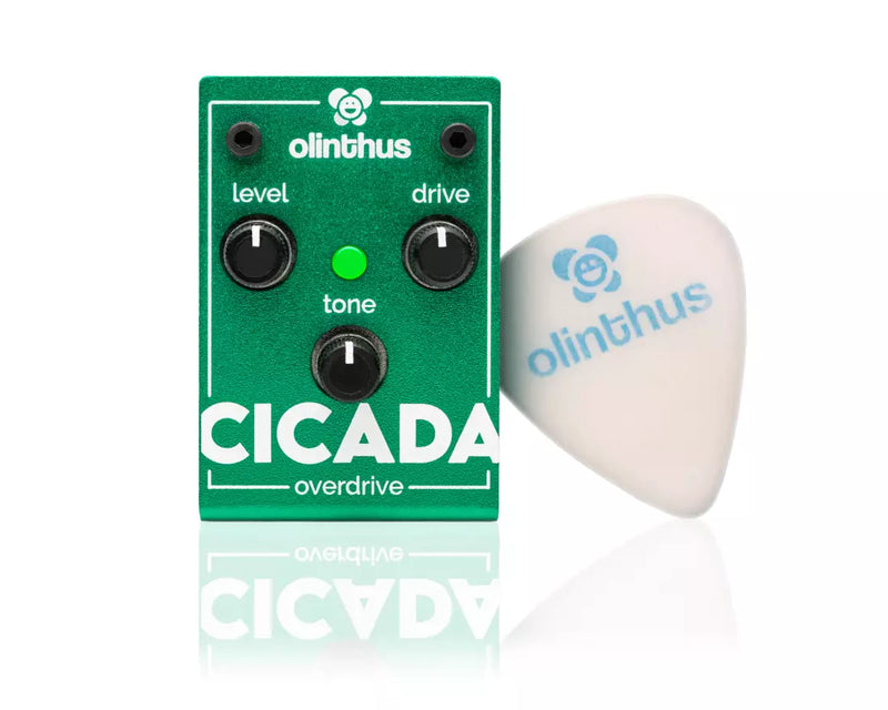 Olinthus CICADA Overdrive Pedal