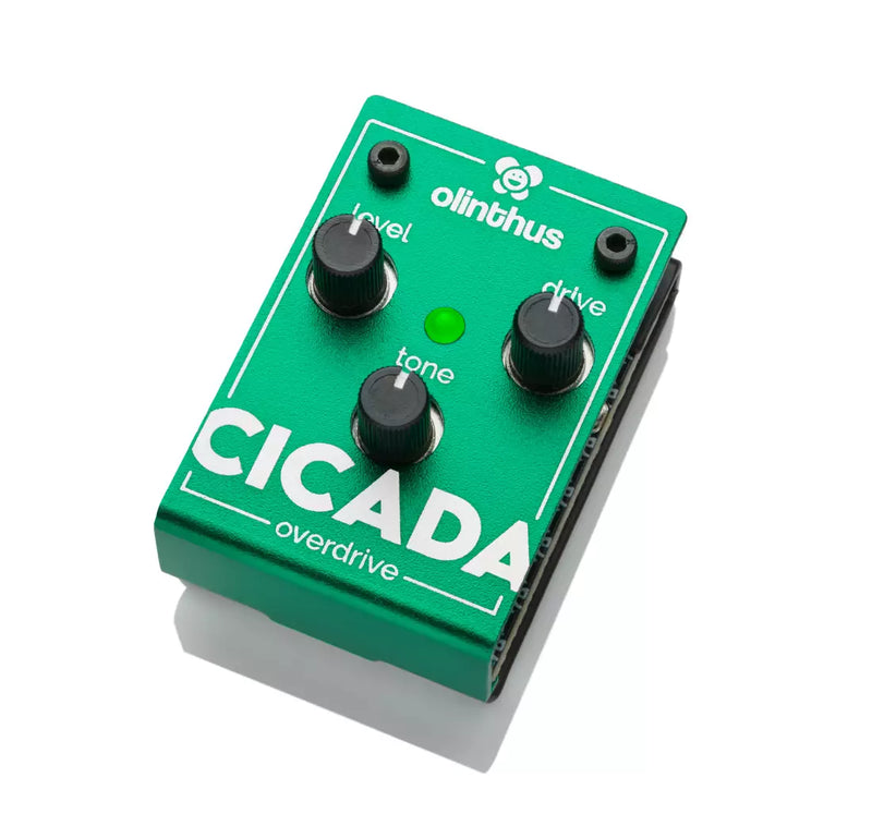 Olinthus CICADA Overdrive Pedal