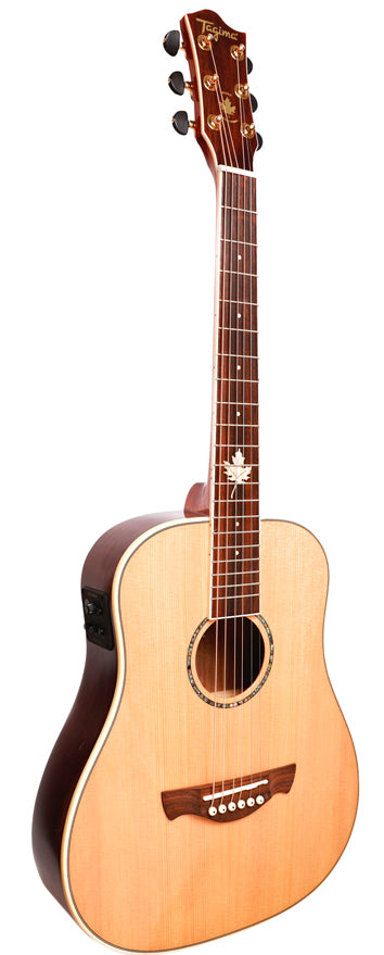 Tagima FERNIE EQ Steel Baby Non-Cutaway Acoustic Guitar (Gloss Natural)