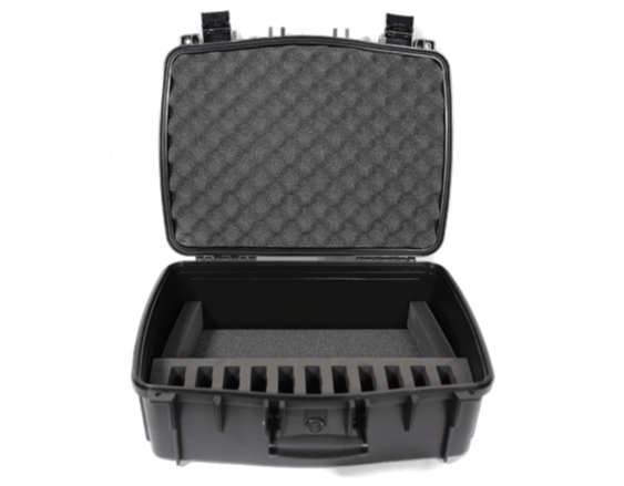 Williams AV CCS 056 DW 11 Carry Case for Digi-Wave (11 slots)