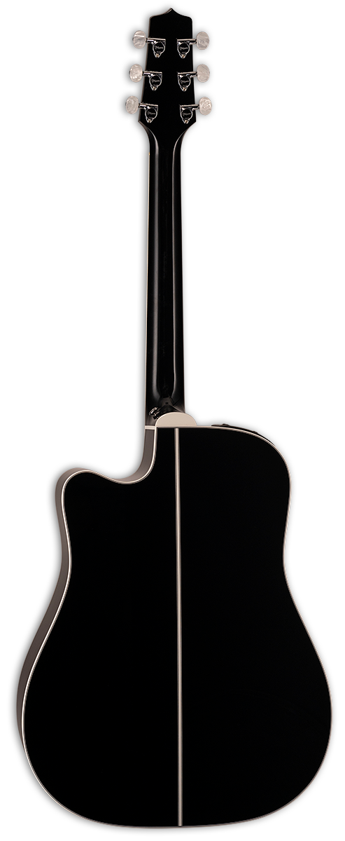 Takamine EF341DX Guitare électro-acoustique Dreadnought (Noir)