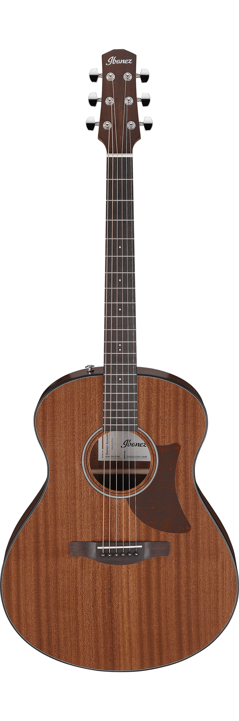 Guitare acoustique Ibanez AAM54 (Open Pore Natural)