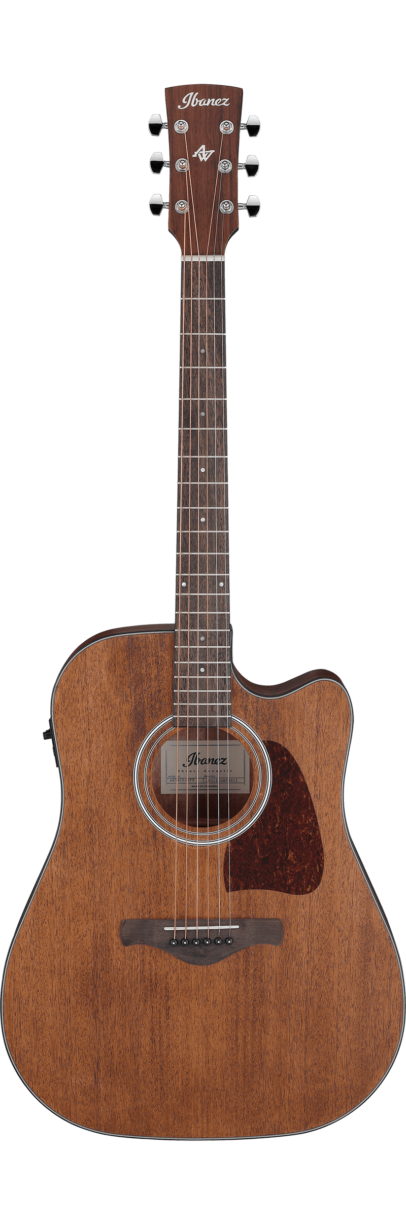 Guitare acoustique Ibanez AAM54CE (Open Pore Natural)