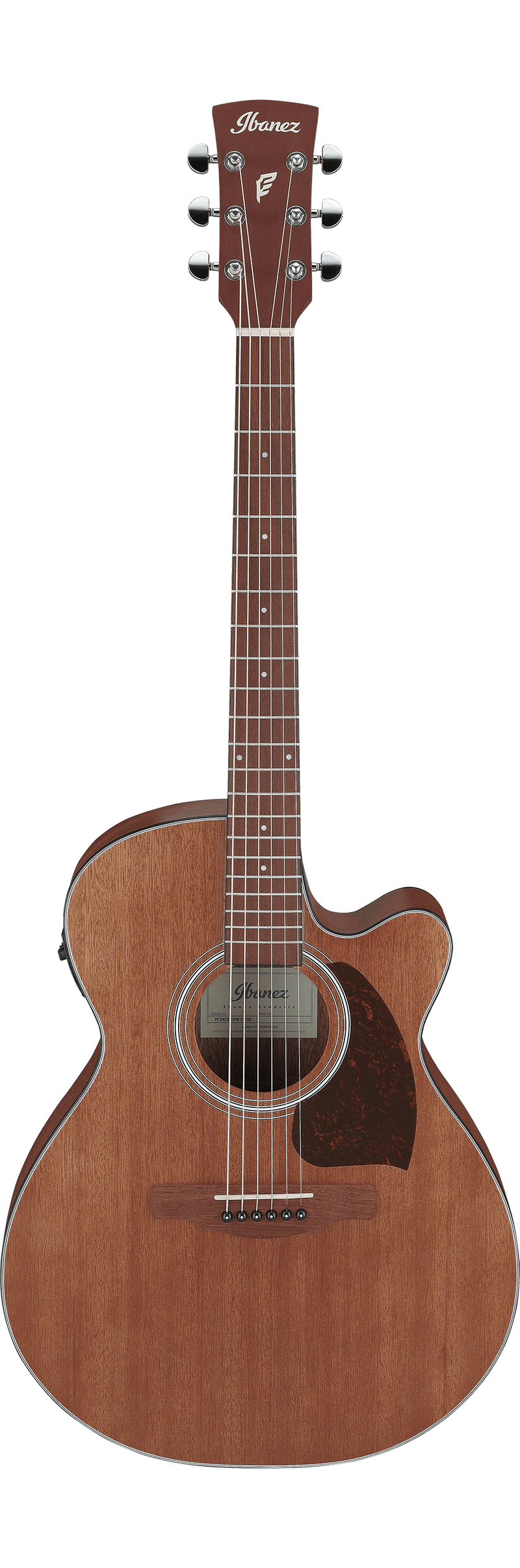 Guitare acoustique Ibanez PC54CE (Open Pore Natural)