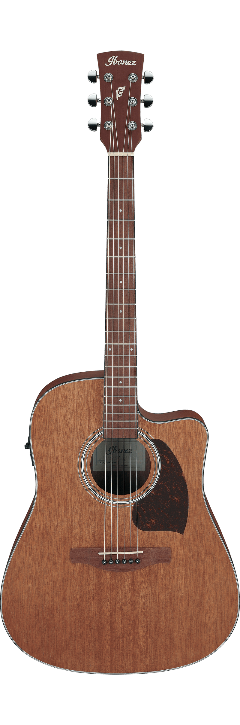 Ibanez PF54CE Acoustic Guitar (Open Pore Natural)