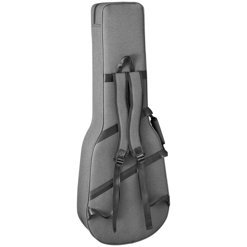 Takamine NEX CALSSICAL Electric Guitar Semi Hard Case