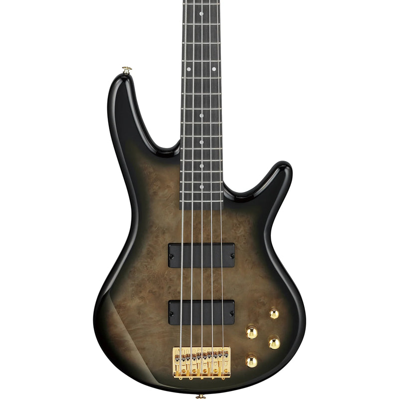 Ibanez GSR205PCTPB 5 String Electric Bass Guitar (Transparent Pale Black Burst)