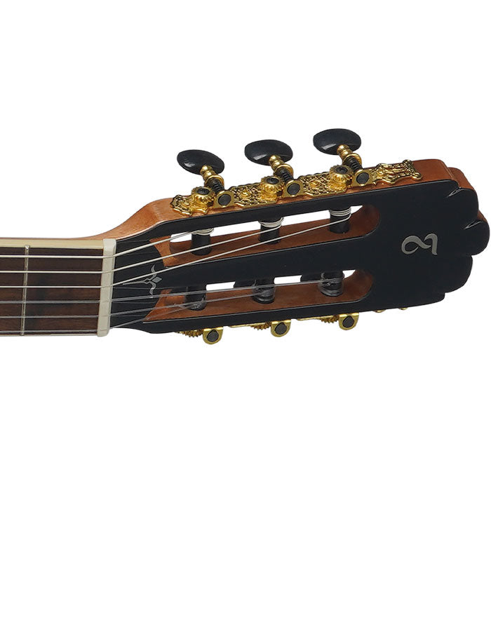 Tagima WS-12 EQ Guitare électrique acoustique (naturel)