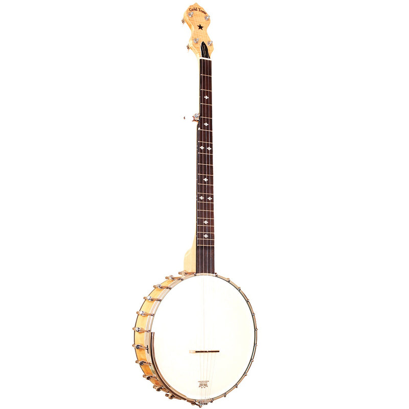 Banjo à 5 cordes doré MM-150 Maple Mountain à dos ouvert 