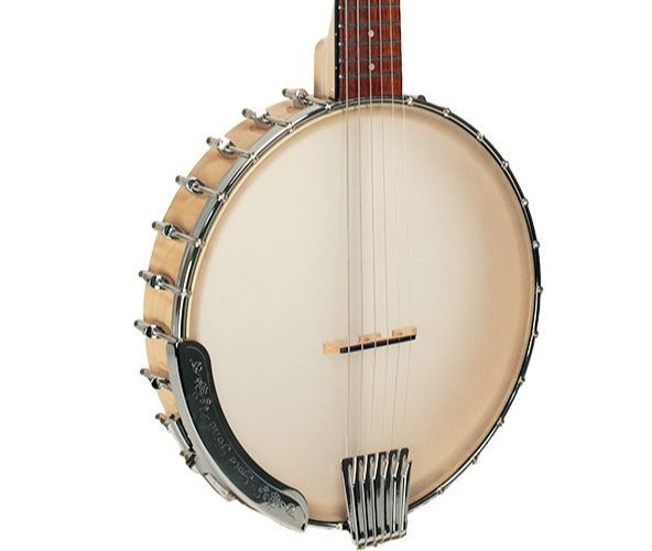 Gold Tone BT-1000 6 String Banjitar w/Gig Bag