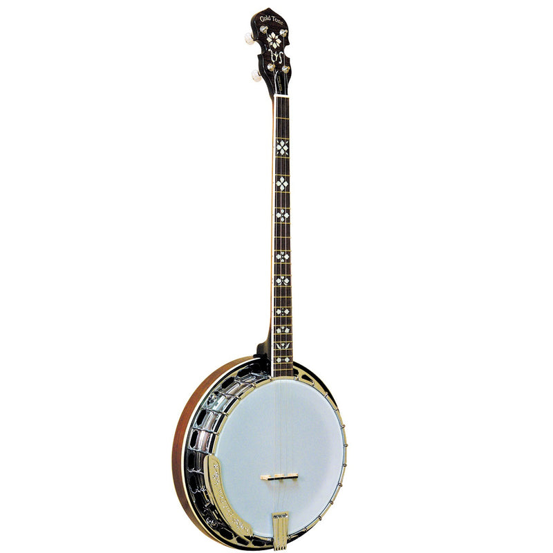 Gold Tone TS-250 Tenor Special 4 String Banjo w/Case