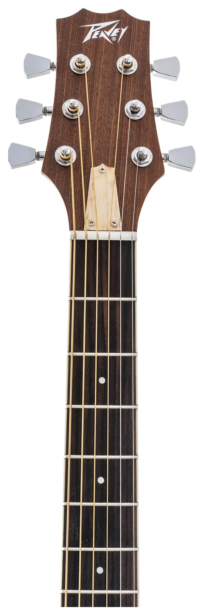 Peavey DELTA-WOODS DW-2 Solid Top Dreadnought Acoustic Guitar w/ Case