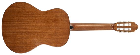 Peavey DELTA-WOODS CNS-1 Classical Nylon String Guitar