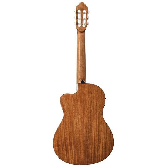 Delta Woods® CNS-1™ Classical Nylon String Guitar - Peavey