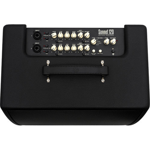 Amplificateur Combo Guitare Acoustique Blackstar SONNET 120W - Noir 