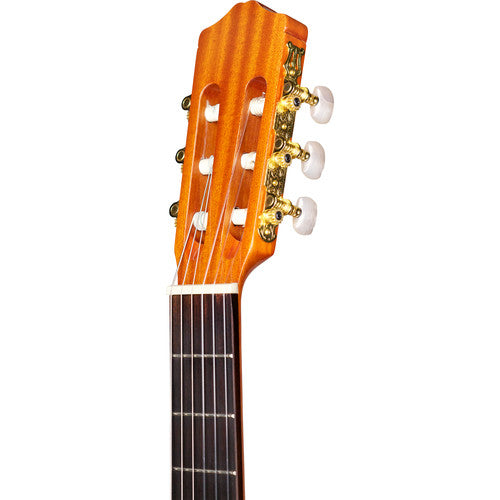 Cordoba PROTEGE-SERIES C1 Nylon-String Classical Guitar w/Bag - High Gloss