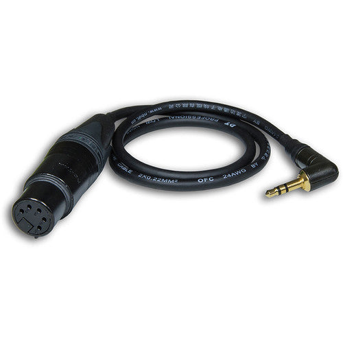 Câble adaptateur Beachtek BT-MINI XLR5F vers TRS 3,5 mm à angle droit (17,7")