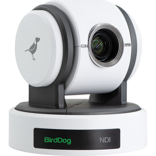 BirdDog BDP100W Eyes P100 Caméra PTZ Full NDI 1080p (Blanc)