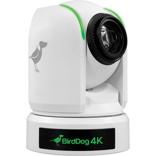 BirdDog BDP4KWHITE P4K 4K Full NDI PTZ Camera with 1" Sony Sensor (White)