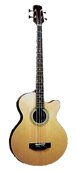 Jay Turser JTB-D100 4 String Acoustic Bass with Under Saddle Pickup and 4 Band EQ - Natural