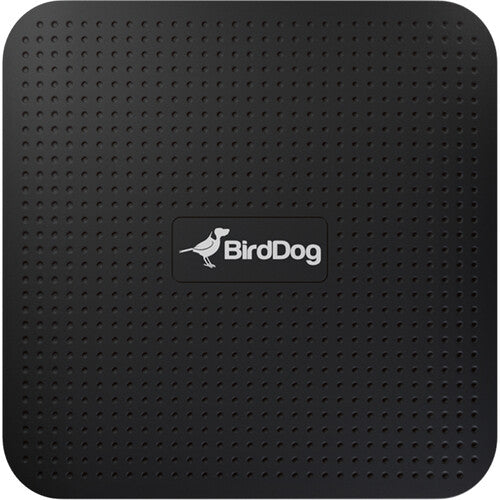 BirdDog PLAY 4K NDI Player