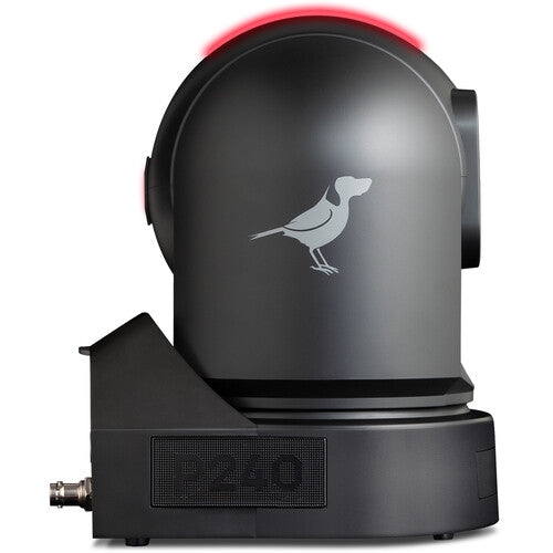 BirdDog BDP240B Caméra PTZ Full NDI 40X avec HDMI/3G-SDI - Noir