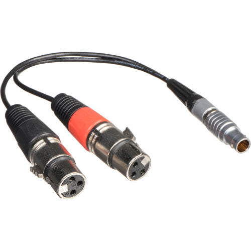 Atomos Atom-Cab017 Xlr Breakout Cable For Shogun (Input Only) - Red One Music
