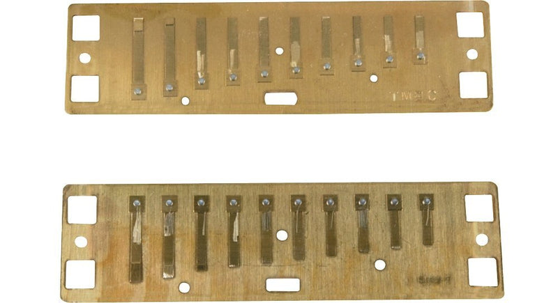 Lee Oskar 1910NRP-MIN-E-FLAT Reed Plates Natural Minor E Flat