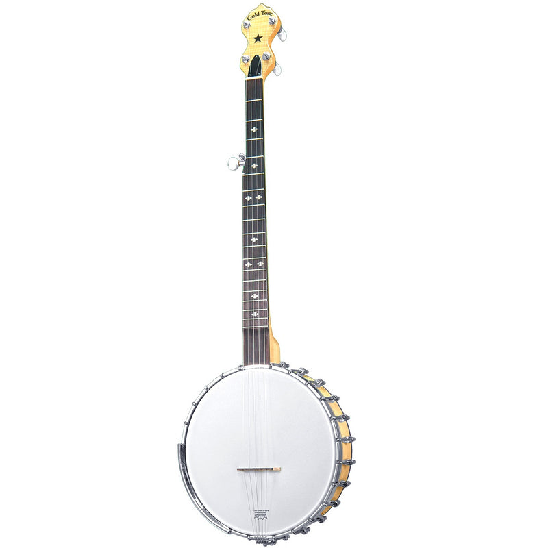 Banjo à 5 cordes doré MM-150 Maple Mountain à dos ouvert 