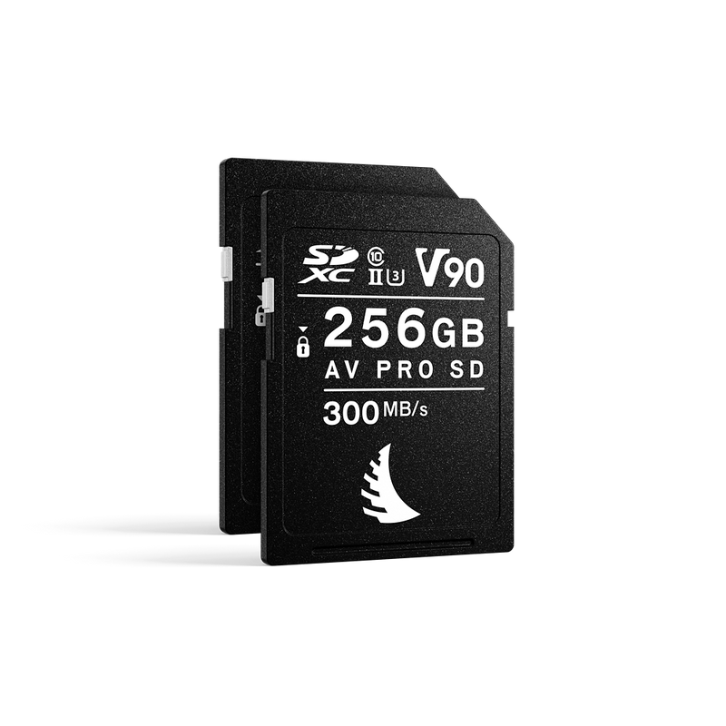 Angelbird 512GB V90 Match Pack for the Canon EOS R6 (2 x 256GB)