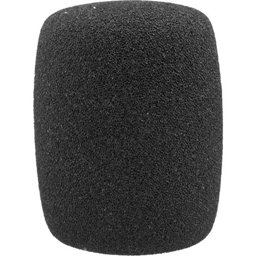 Audio-Technica AT8101 Windscreen