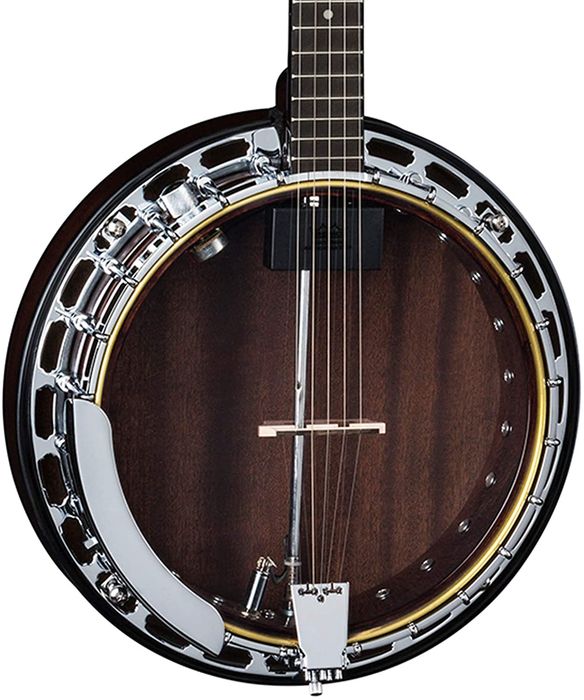 Dean BACKWOODS 2 PRO Banjo with Pickup